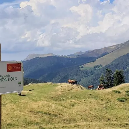 Chez Anne, Maison Cosy Avec Spa, Billard Et Jardin Nyaraló Cierp